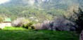 /album/resim-galerisi/a23-2-jpg/